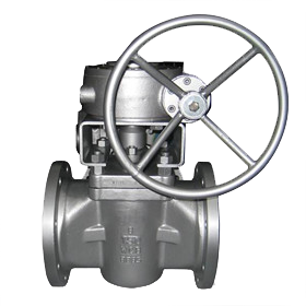 Sleeve type plug valves