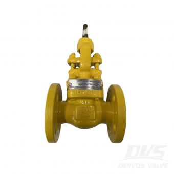 Globe Valve