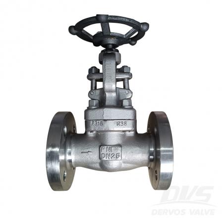 Globe Valve